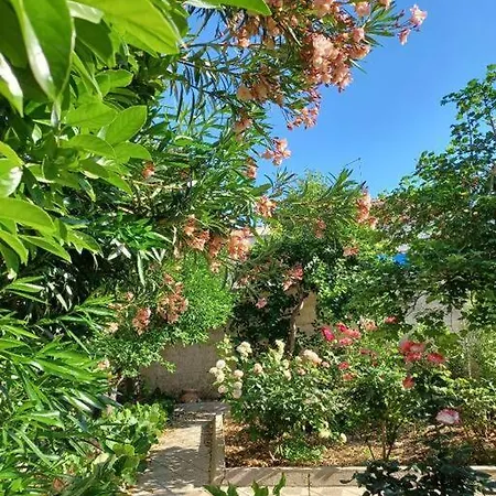 Hébergement de vacances Giardino Al Corso *