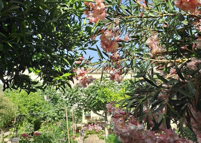 Giardino Al Corso * 팔라쫄로 아크레이데