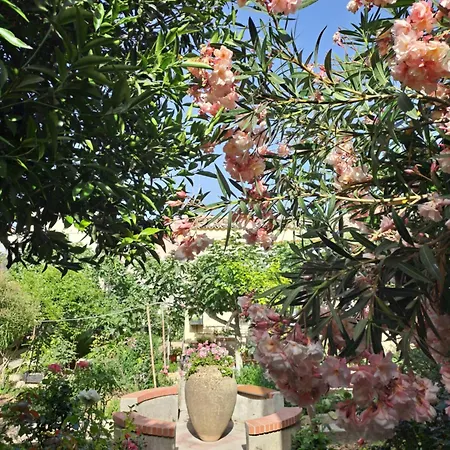 Giardino Al Corso * Palazzolo Acreide