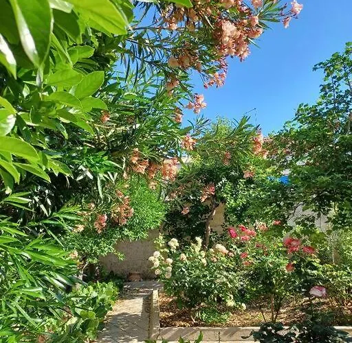 度假居 Giardino Al Corso *